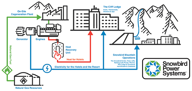 Snowbird-CoGen-Graphic